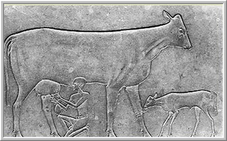 Produtos lácteos no antigo Egito