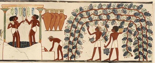 Vinho egípcio antigo
