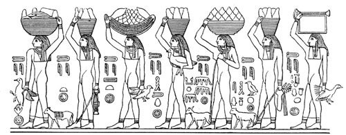 Legumes no antigo Egito